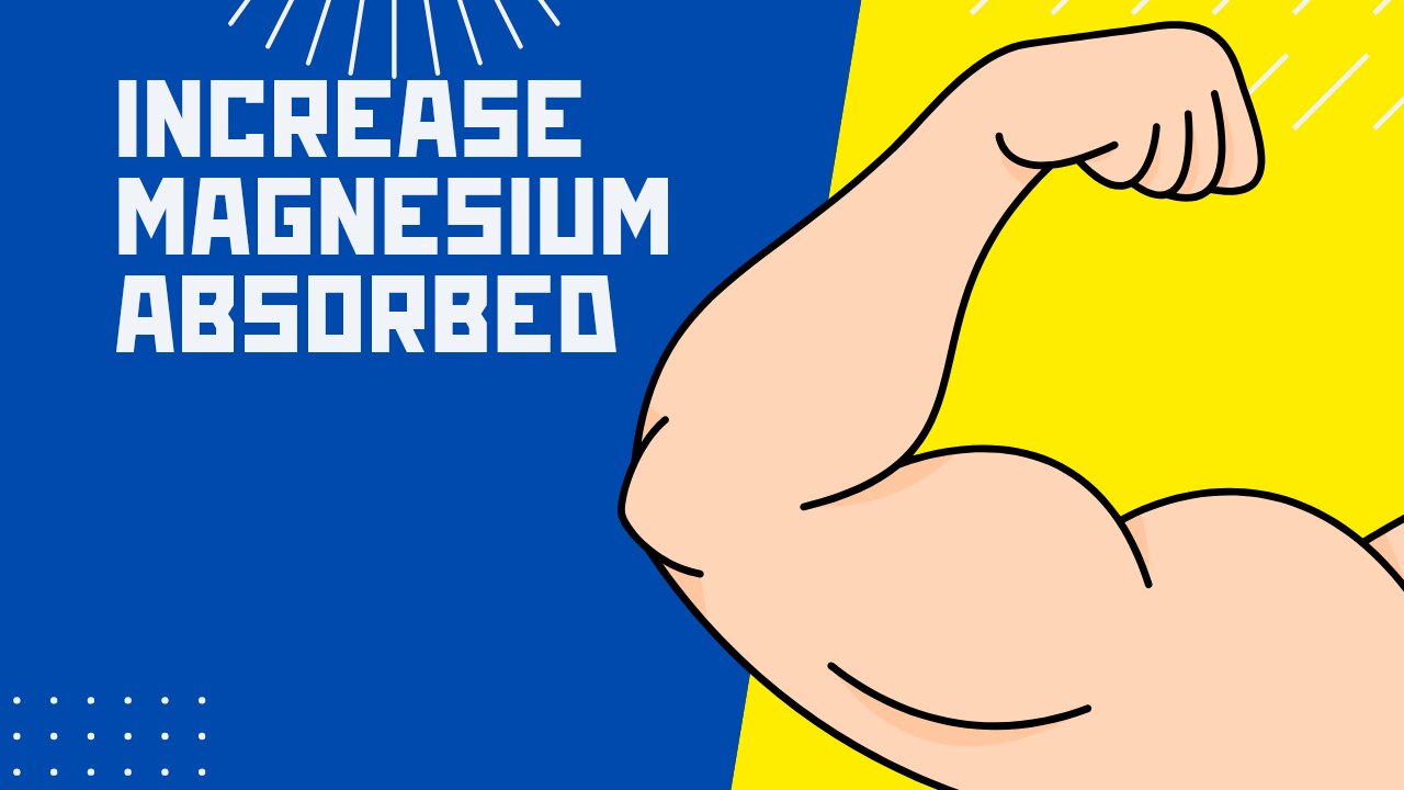 how to increase magnesium ABSORPTION