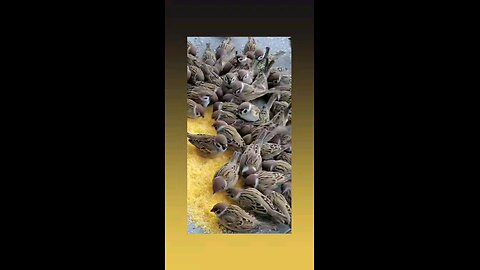 खुबसूरत पल