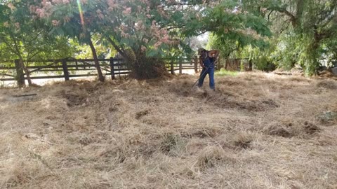 Sunny J and the Ranch Hand work at Ram Ranch