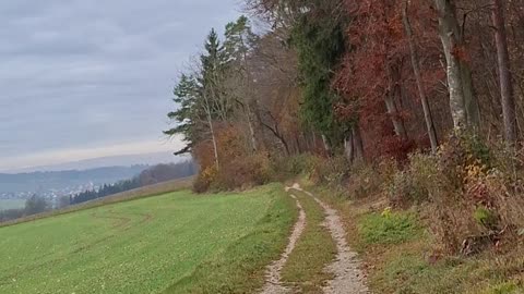 The primacy of private property and profits, technoscientism, and the dignity of life