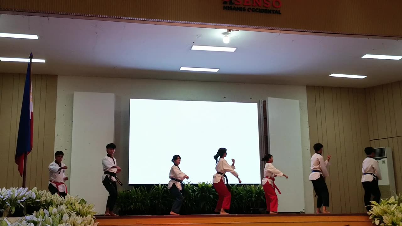 Taekwondo