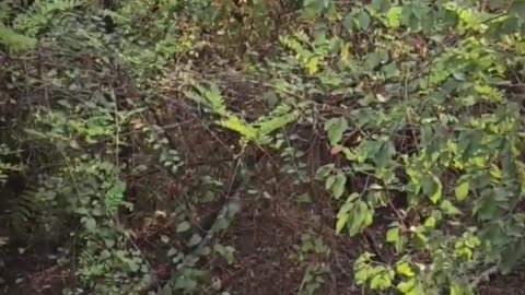 Peter’s Story: From Rock Bottom to Awareness | Project GamblEX® – Life on the Line