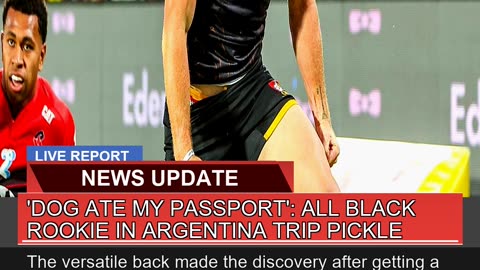 Dog Ate My Passport All Black Rookie in Argenti