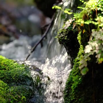 😊 34 LA ORACIÓN ABRE CAMINOS A LA MANIFESTACIÓN Filipenses 4:6 😊