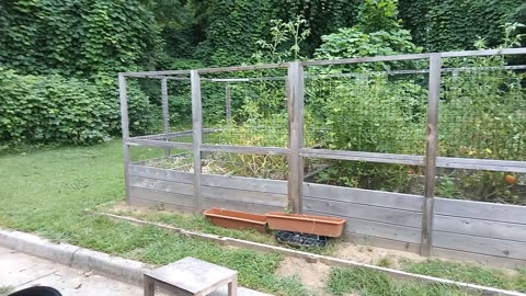 A raised Bed Garden