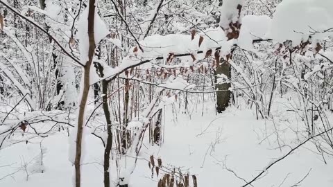 nowy... nowiutki... nowiusieńki ...