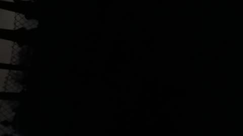 I need to eat some fukin devil raisers, walking on fire growling where R they ?