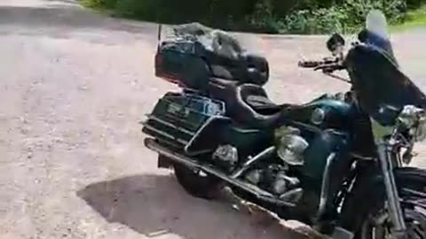 Facebook Live in Spearfish Canyon at Long Valley Picnic Area