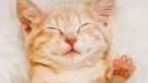 Test end of the stream