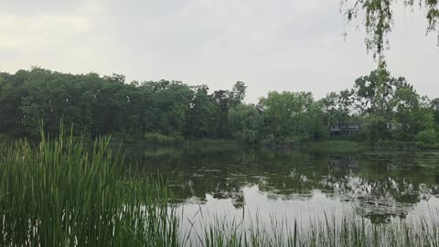 Neighborhood Pond at Sunset