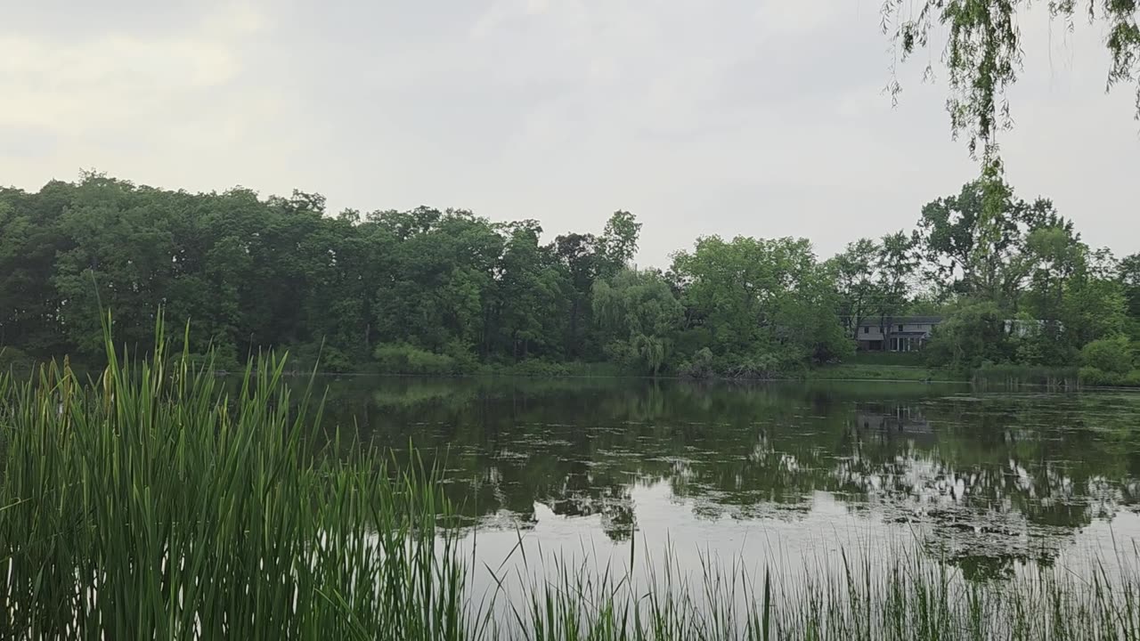 Neighborhood Pond at Sunset