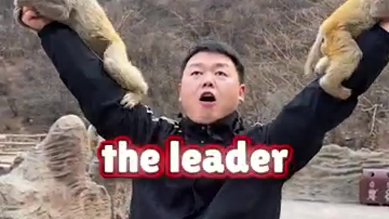 Man tries to feed a baby monkey!