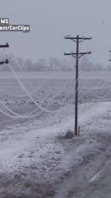 Several power lines in Rolling Fork and Hollandale, Mississippi, were completely covered in ice