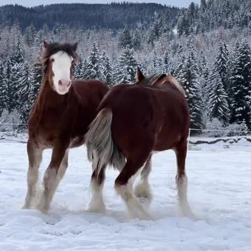 True power and beauty