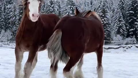 True power and beauty