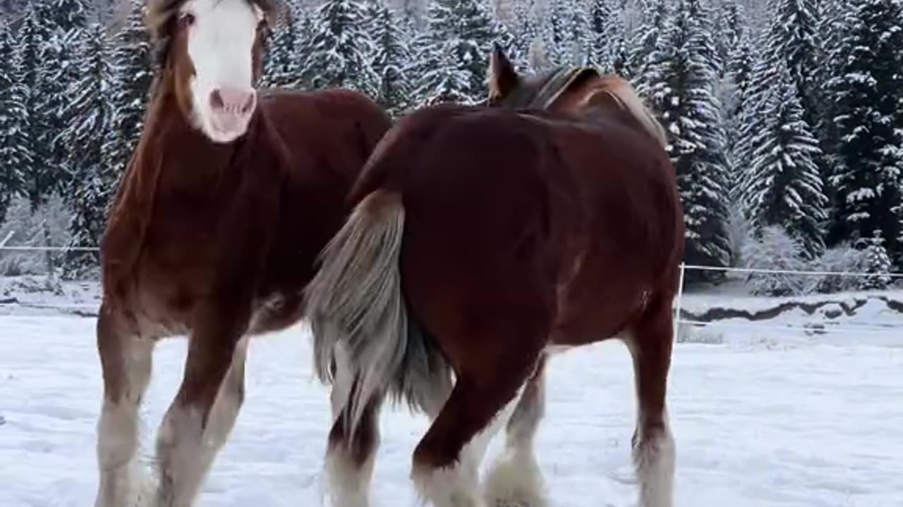 True power and beauty