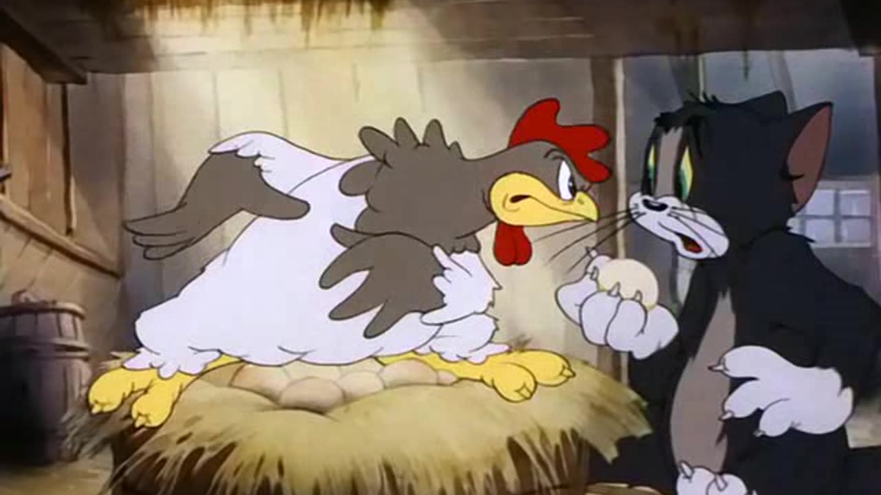 Tom and Jerry Episode 8 - Fine Feathered Friend [1942]