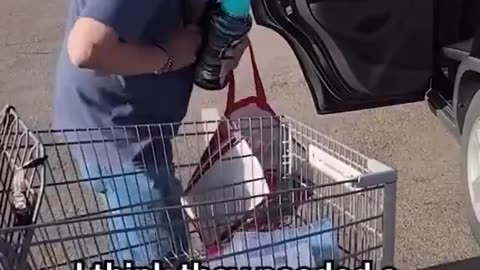Suburb Shopping. Free Stuff