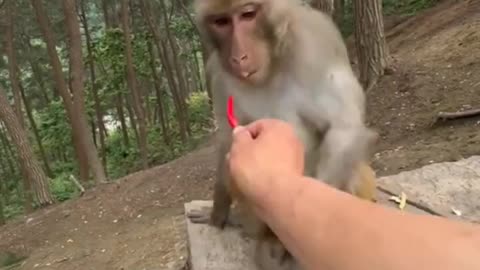 ?