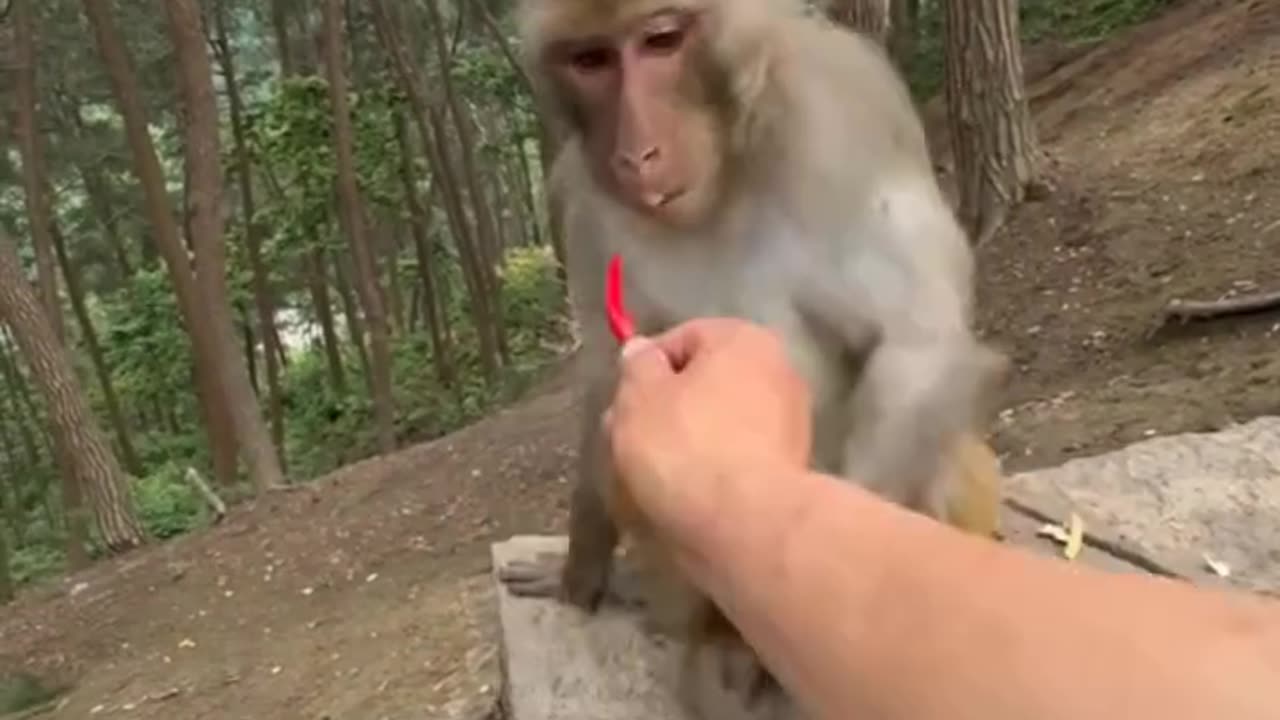?