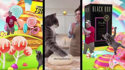 Boxed Whine and Catland v 5