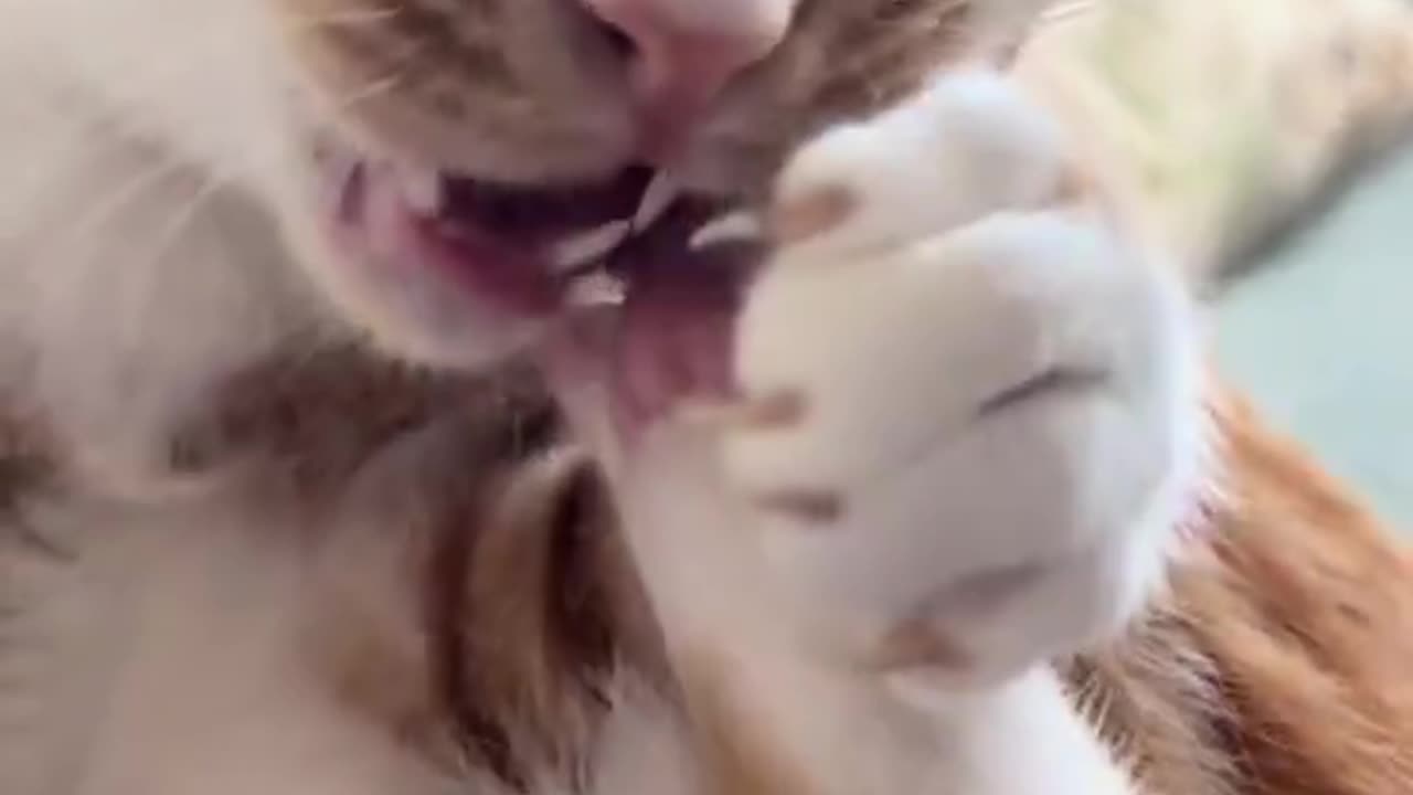 Bro munchin on dem beans 😂