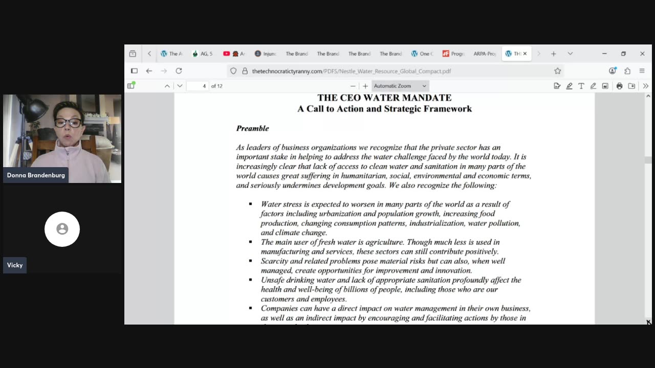 BNN (Brandenburg News Network) 8/11/2025 Technocratic Communism & Daniel Richard
