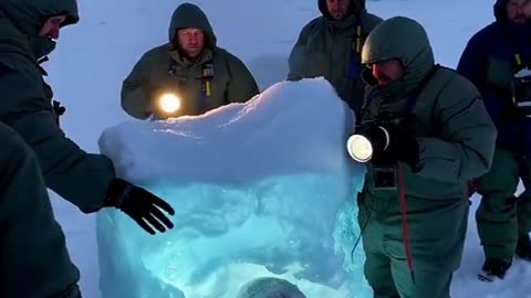 Frozen Skin walkers frozen in antarctica
