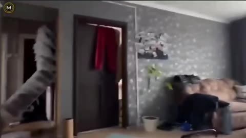 The Video Damage Of The 8.8 Russian Earthquake!