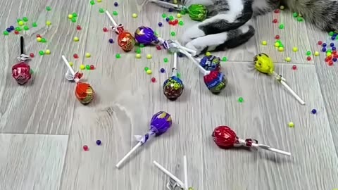 Cat Larsik Beads