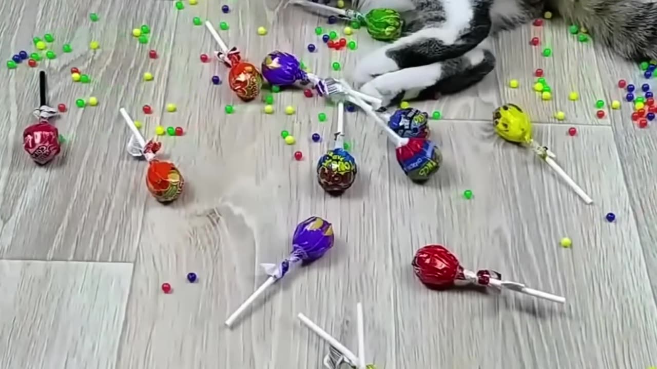 Cat Larsik Beads