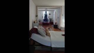 I'm Praying (Matthew 6 KJV) Pray with me Pls.