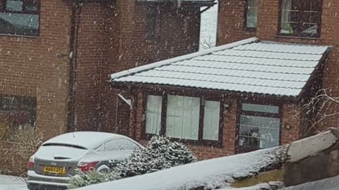 Winter/snow
