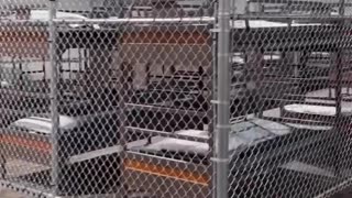 ALLIGATOR ALCATRAZ was built in 8 days - Enjoy