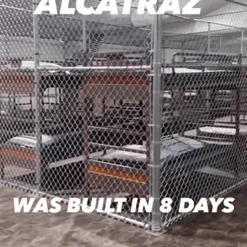 ALLIGATOR ALCATRAZ was built in 8 days - Enjoy