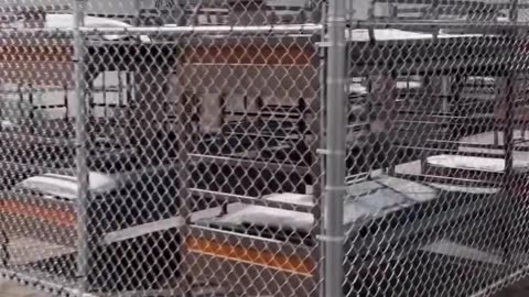 ALLIGATOR ALCATRAZ was built in 8 days - Enjoy