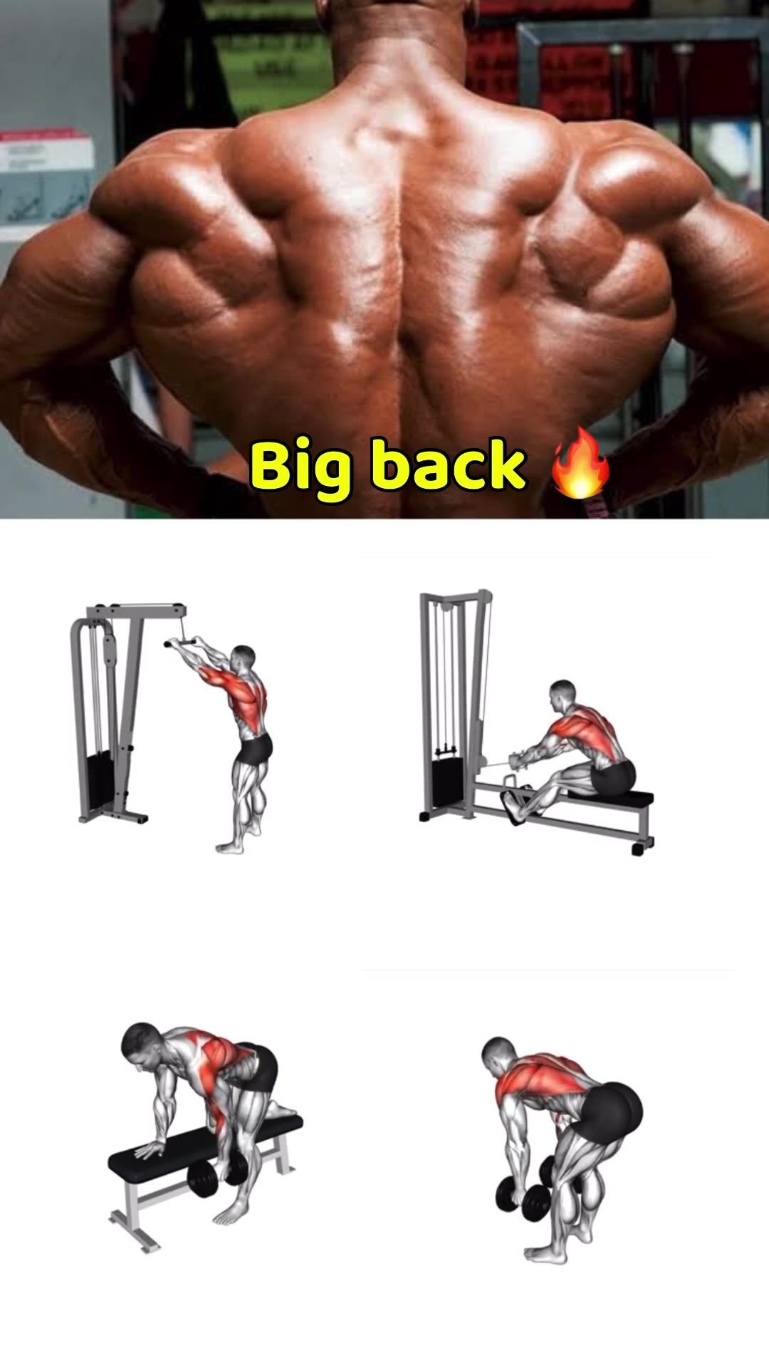 Ultimate Leg Day Best Full Leg Workouts For Strength Size 4