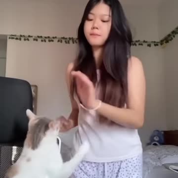 The animals 🤣😂 Omg #funnyanimals #animalsfunny #pets #shorts