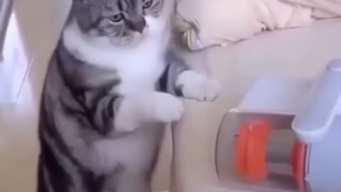 😂🧹 Vacuum Menace Defeated! | FunFM