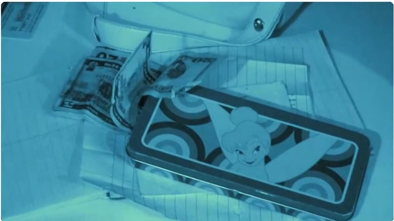 Playground (2009) - Trailer Movie - David de Rothschild sobre abuso infantil