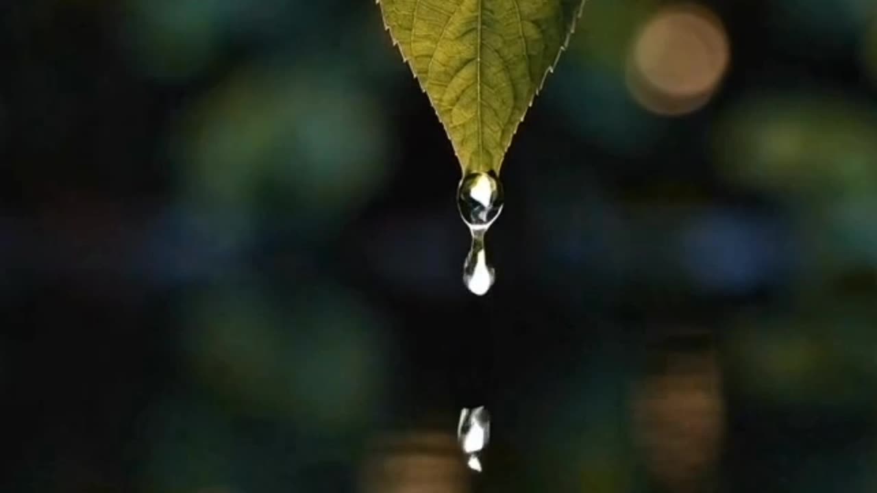 The Beauty of a Droplet in Slow Motion