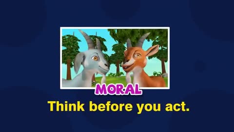 Two goats 🐐 baby kids video