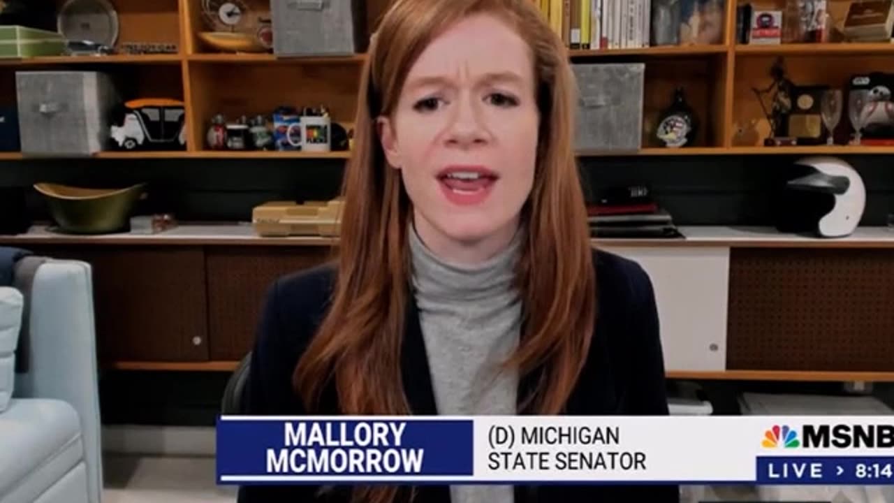 Mallory McMorrow is a carpet bagger - stop electing her