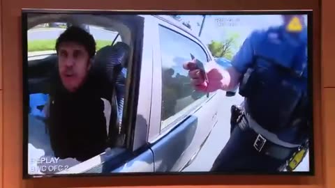'I’m hit' Shocking body cam footage captures deadly Fairfax traffic stop