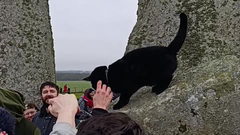 Bastet the Egyptian Cat God Visited Stonehenge at the Winter Solstice 2025