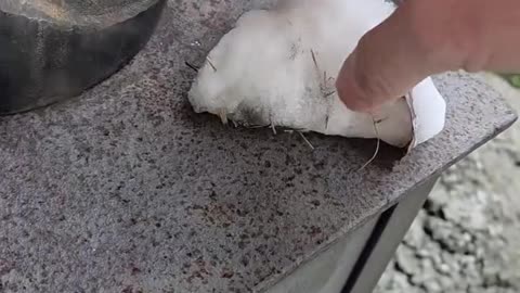 🔥❄️🔥Florida Jan, 2026 recent snow fall won't melt on a hot stove