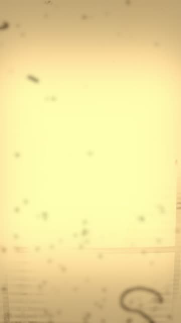 First Light (Vocal Version) is LIVE 🌅 First Light – out now everywhere.