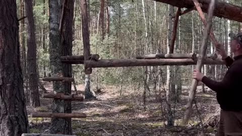 Building a Hanging House on a Fallen Tree