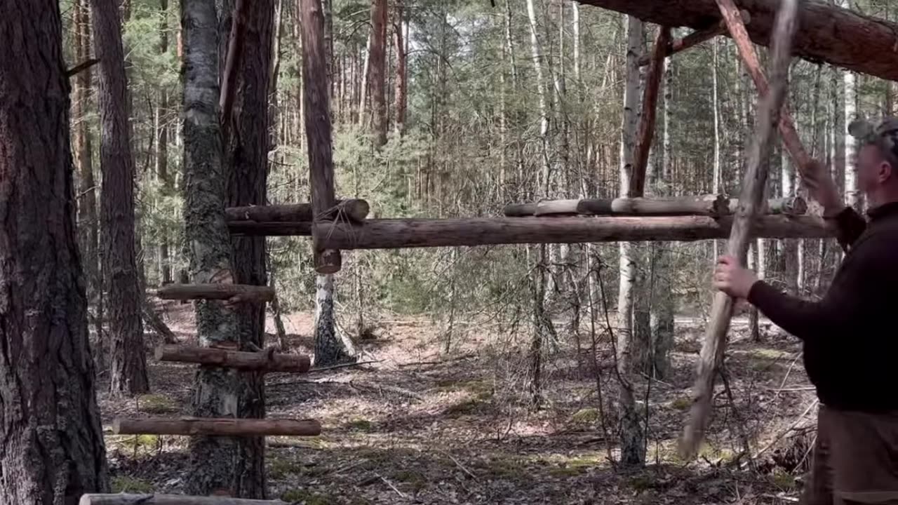 Building a Hanging House on a Fallen Tree