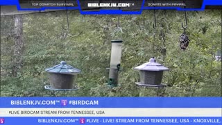 BIBLENKJV.COM™ 🛐 09/17/2025 #LIVE #WEATHER #KNOXVILLE